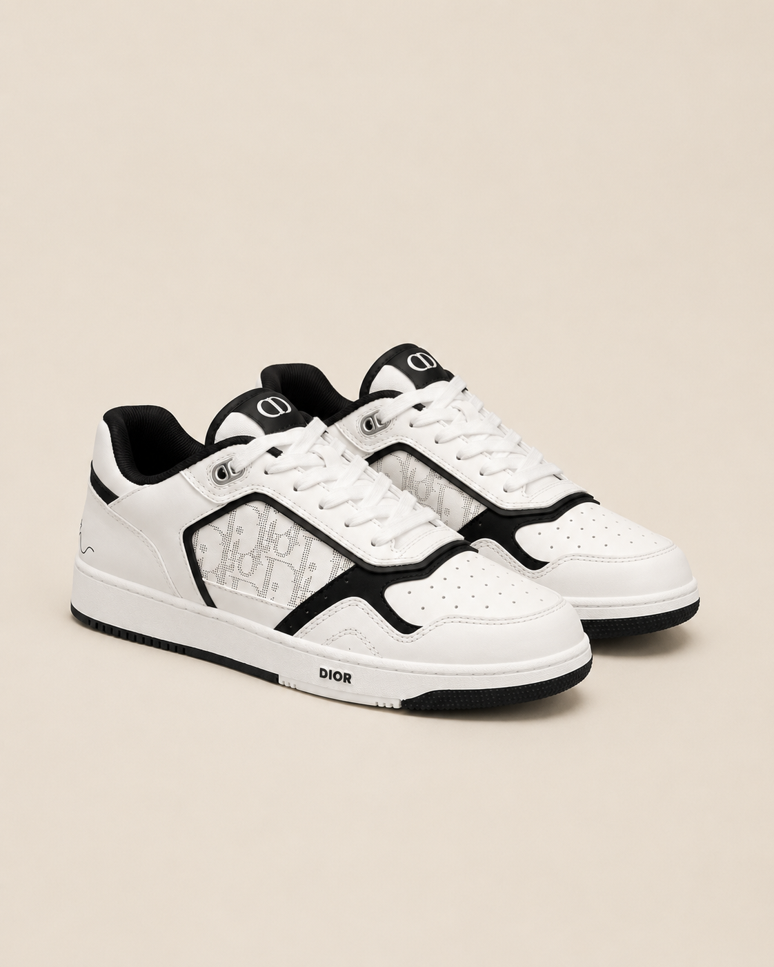 Dior B27 pair