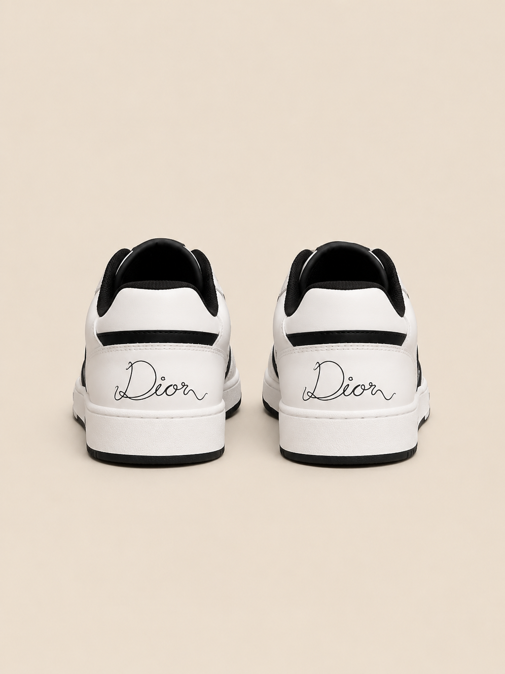 Dior B27 back