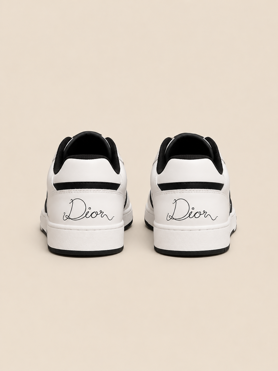 Dior B27 back