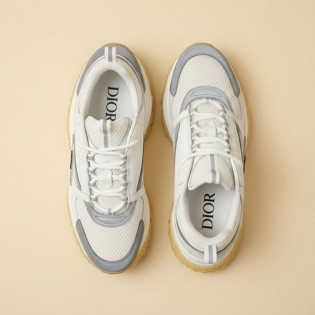 Dior B22 White & Grey - top-down